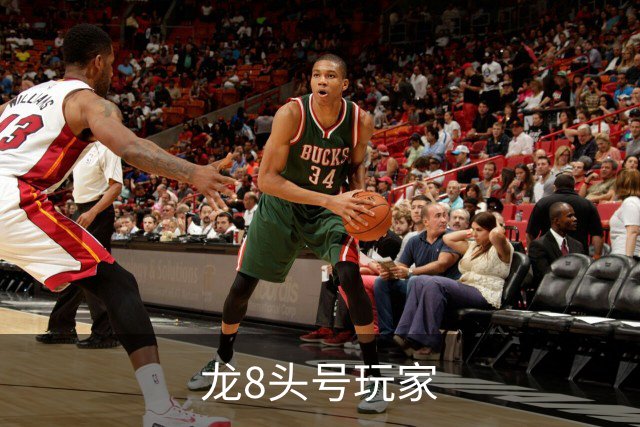龙8头号玩家公司简介